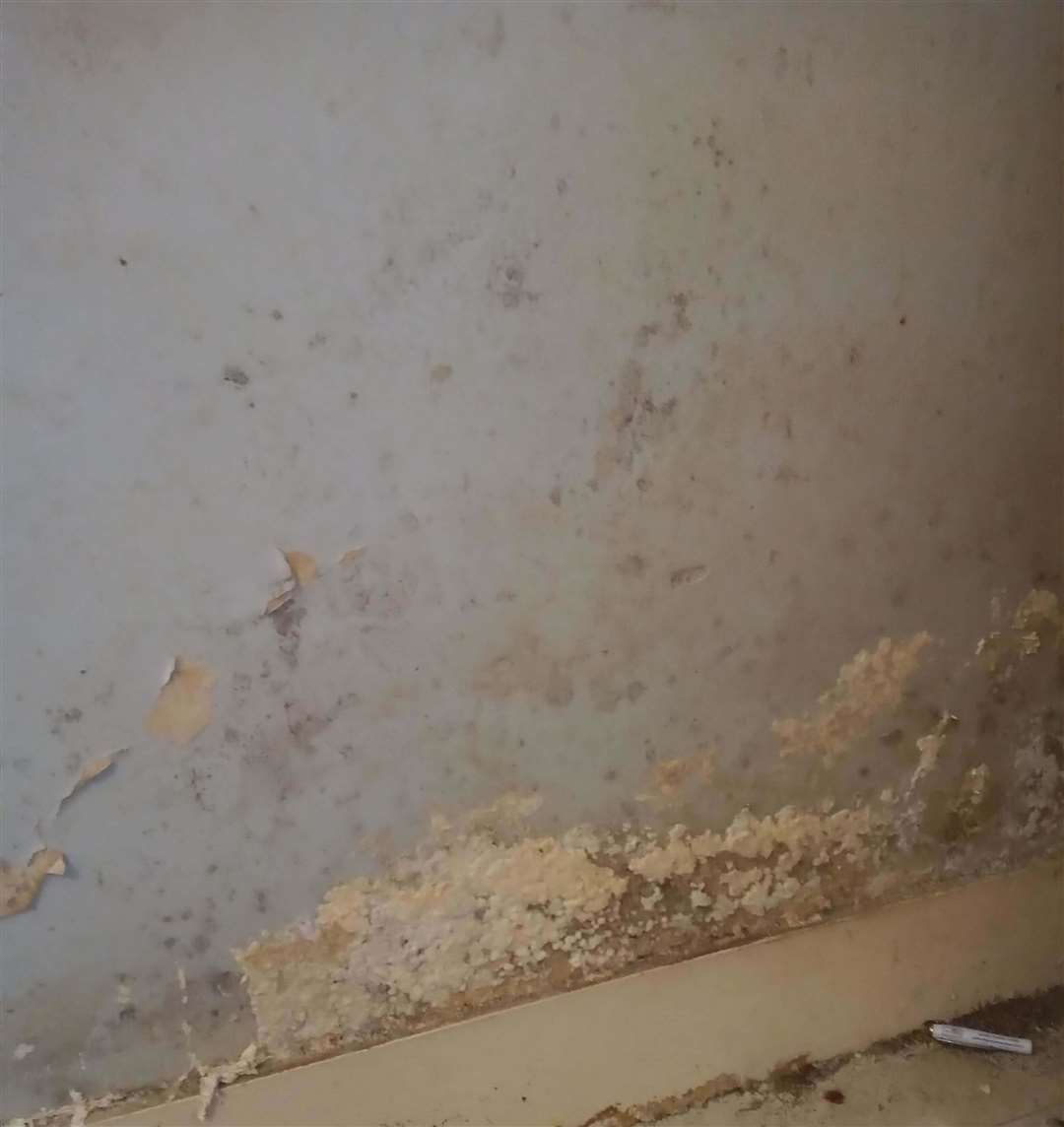 The mould and fungal growth on Stuart Bowie's bedroom wall.
