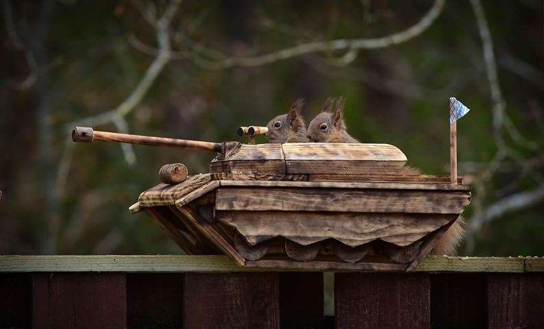 John then made this tank - which the squirrels enjoyed two at a time. Picture: John Beats