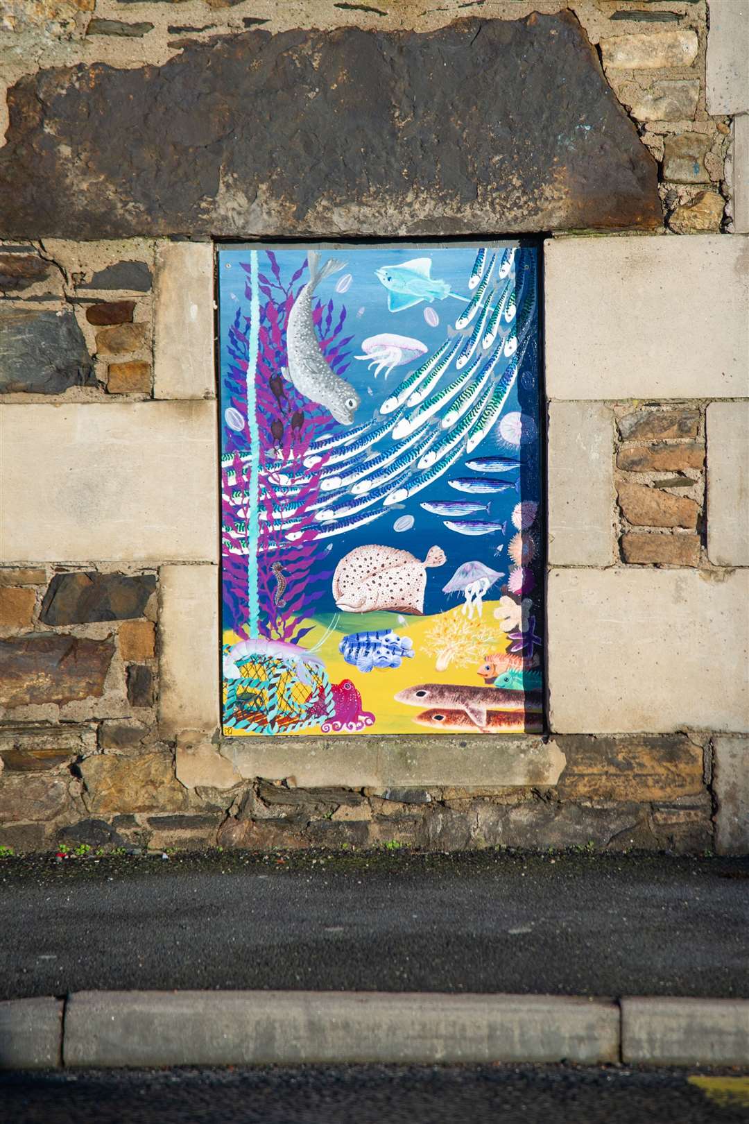 The murals have brightened up empty properties. Picture: Daniel Forsyth