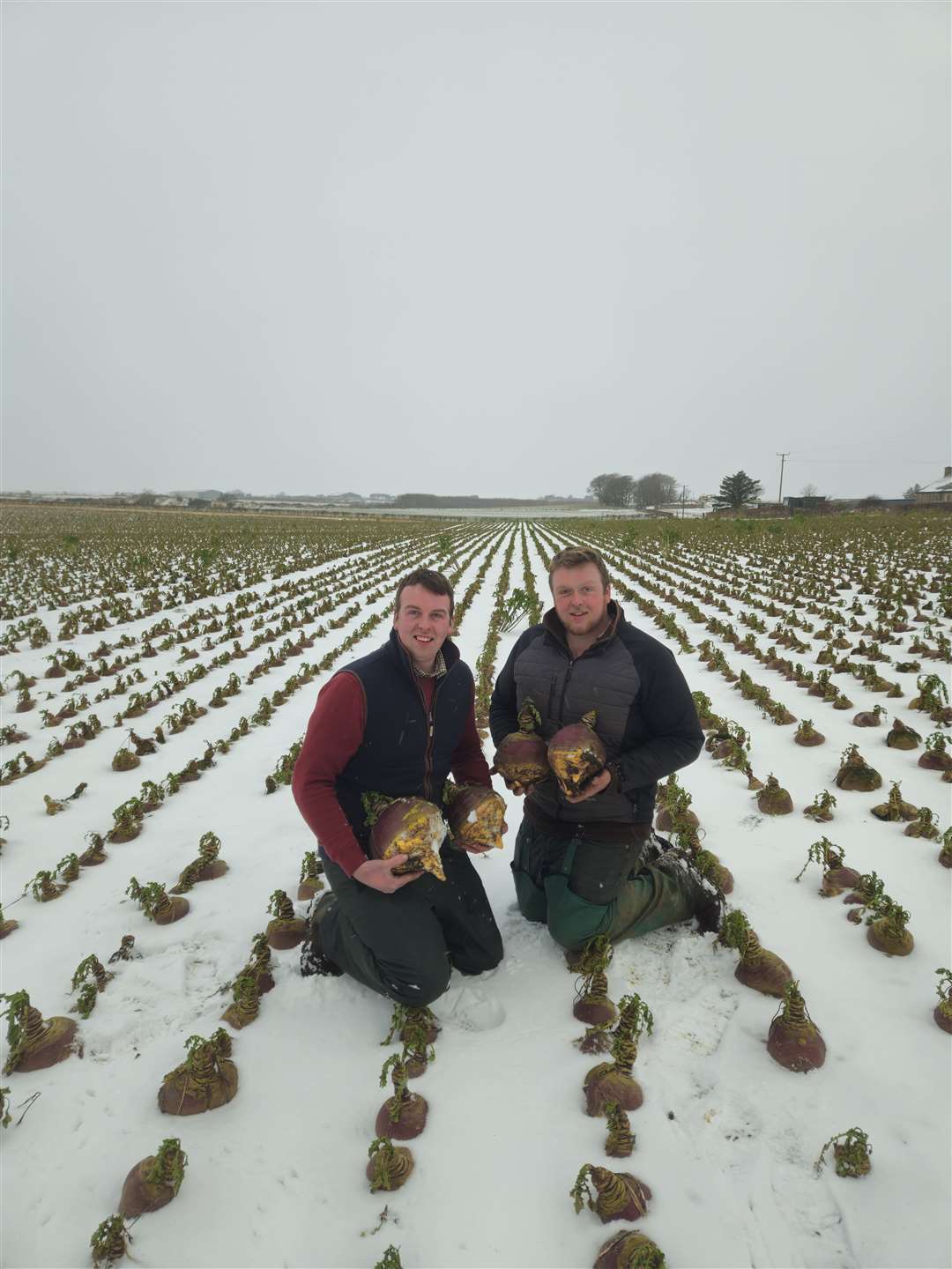 Turnip champions William and David Moir.