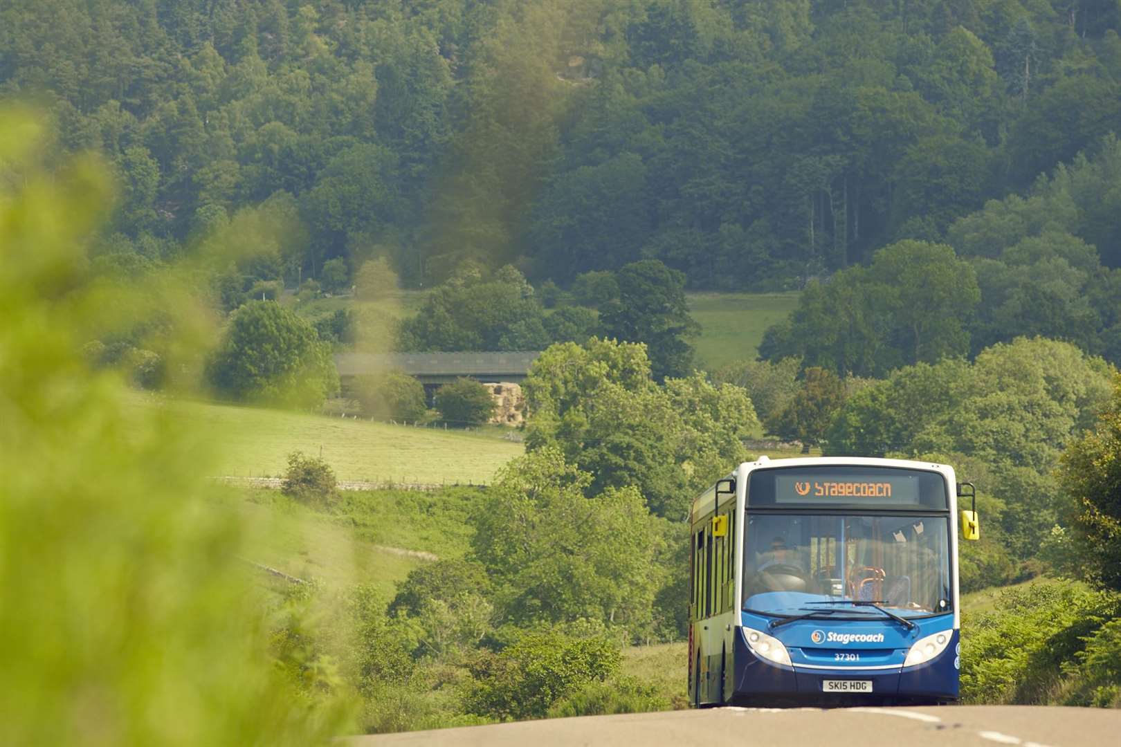 Aberdeenshire Council will remain part of the Northern Bus Alliance.