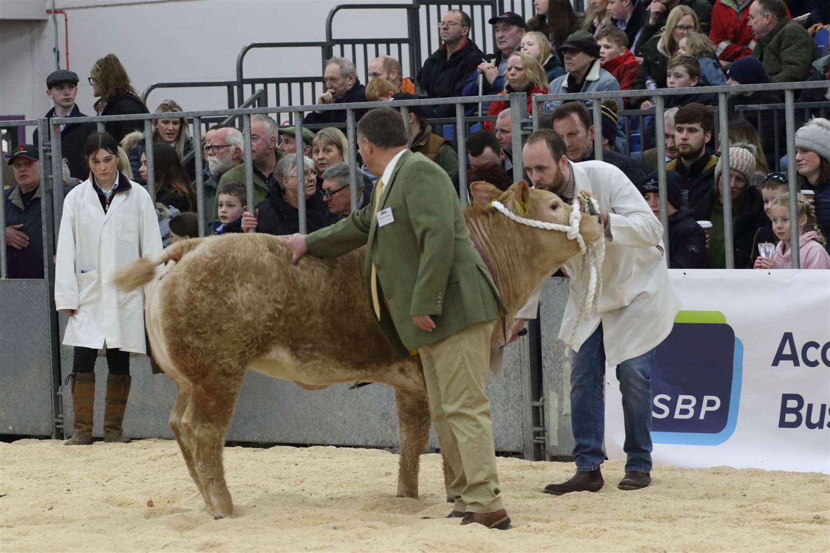 Judge Michael Alford from Devon casts his eye over the entrants. Picture: David Porter