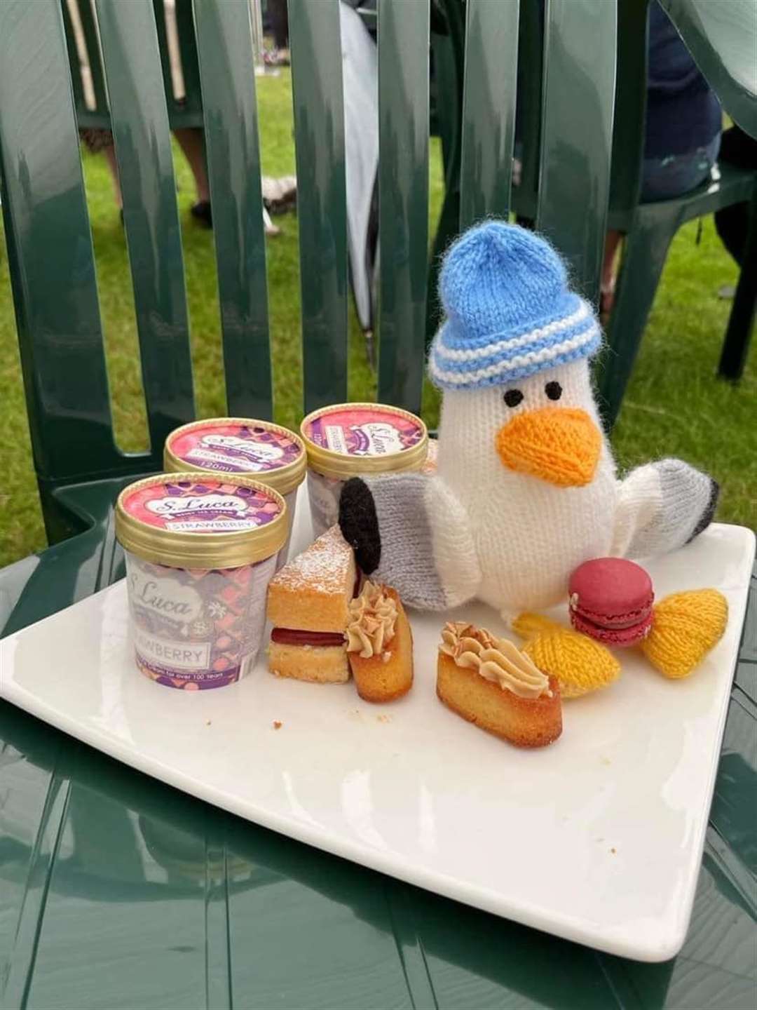Buckie's Roots' wandering knitted seagull Steven Seagull had the royal garden party at Holyrood on his itinerary. Picture: Buckie's Roots