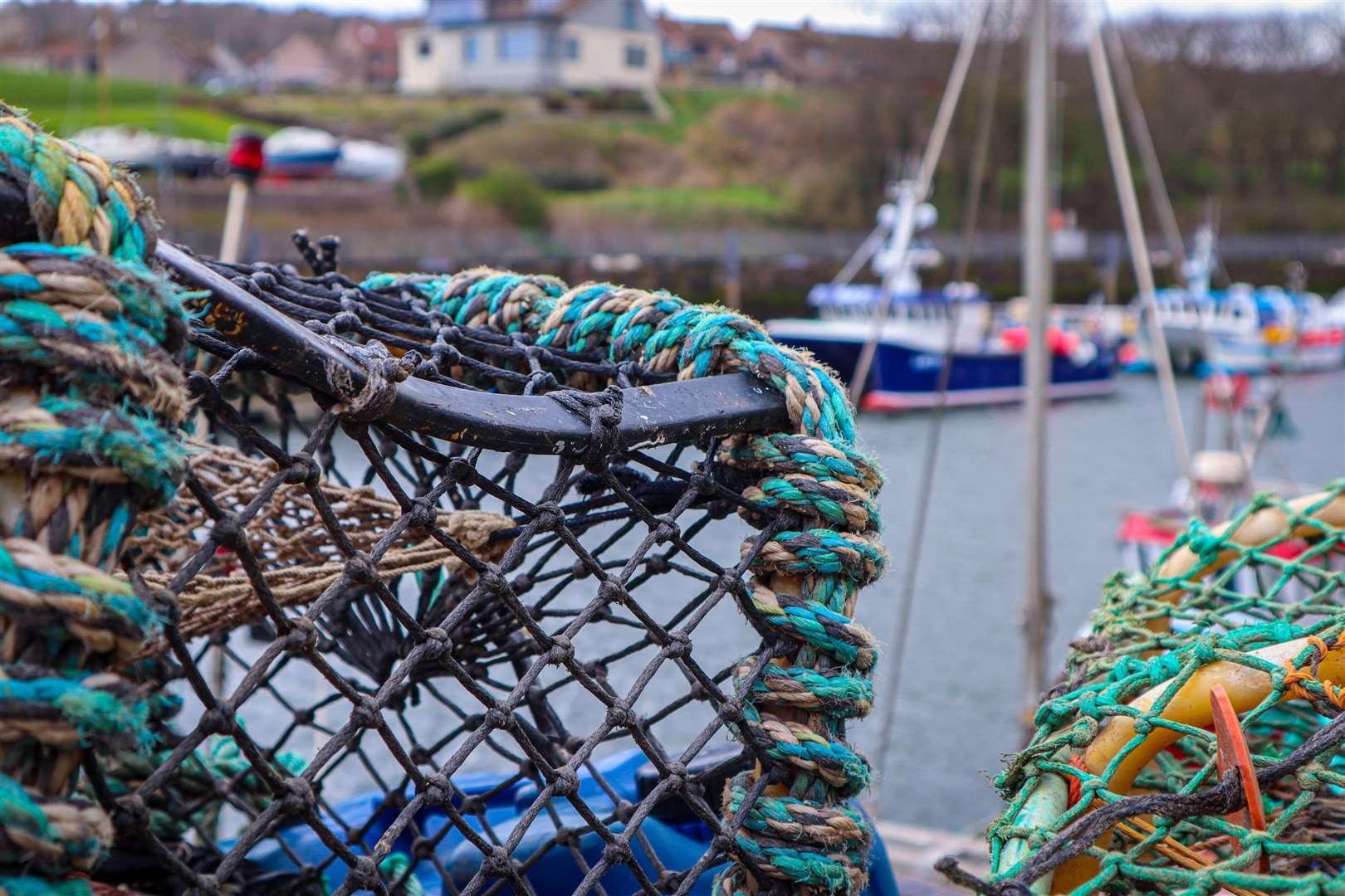 A new poll by the Scottish Fishermen's Federation underscores strong public support for protecting the industry as it faces pressures from new marine users.