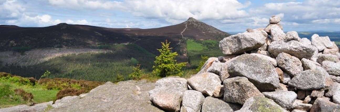 A new campaign has been launched to tackle the issue of litter at Bennachie.