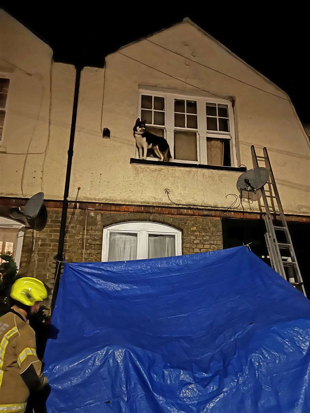 Coco stuck on the narrow ledge (London Fire Brigade/PA)