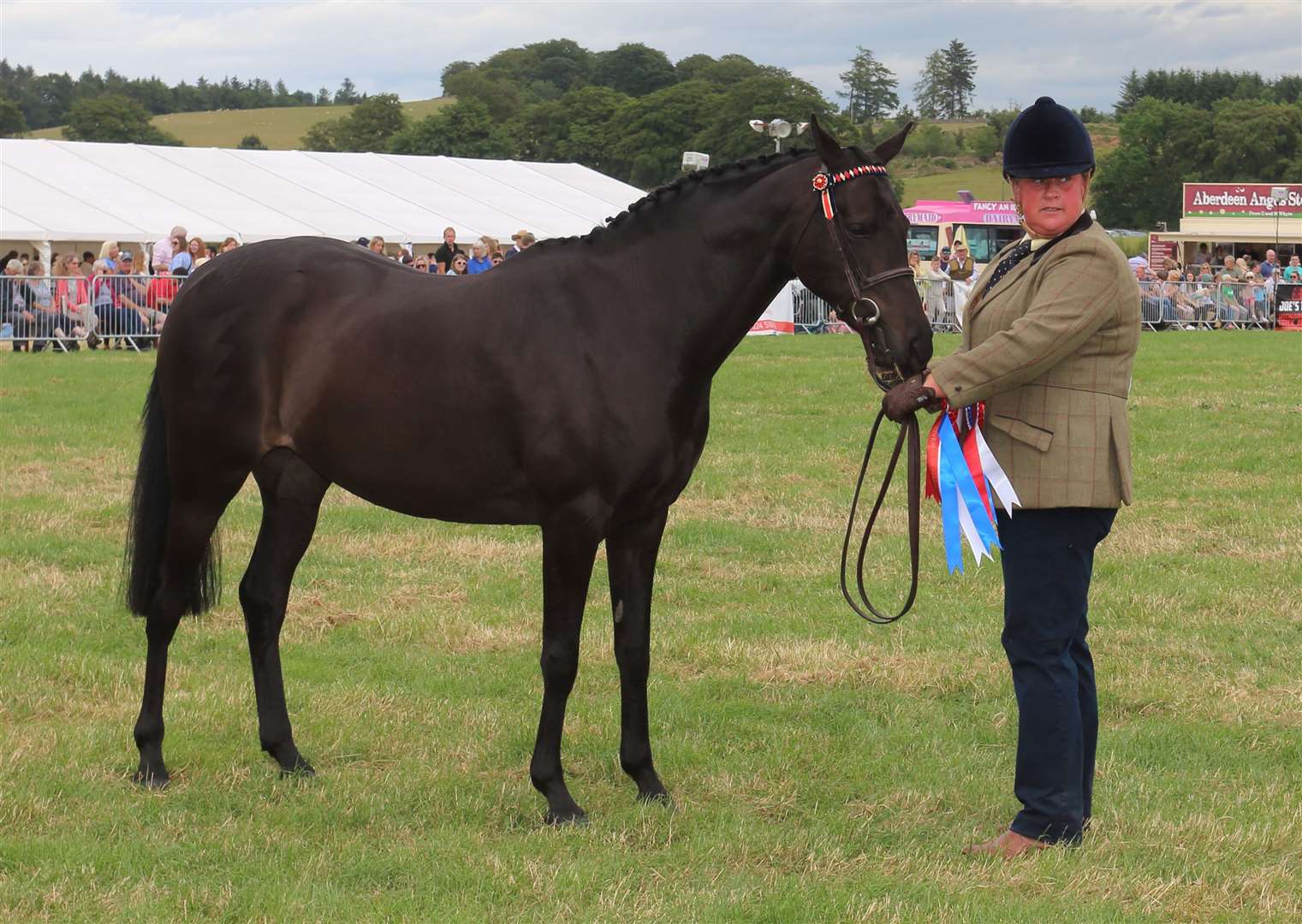 Overall horse champion Lorna Gilbert with Tylo Hot Like Me. Picture: David Porter