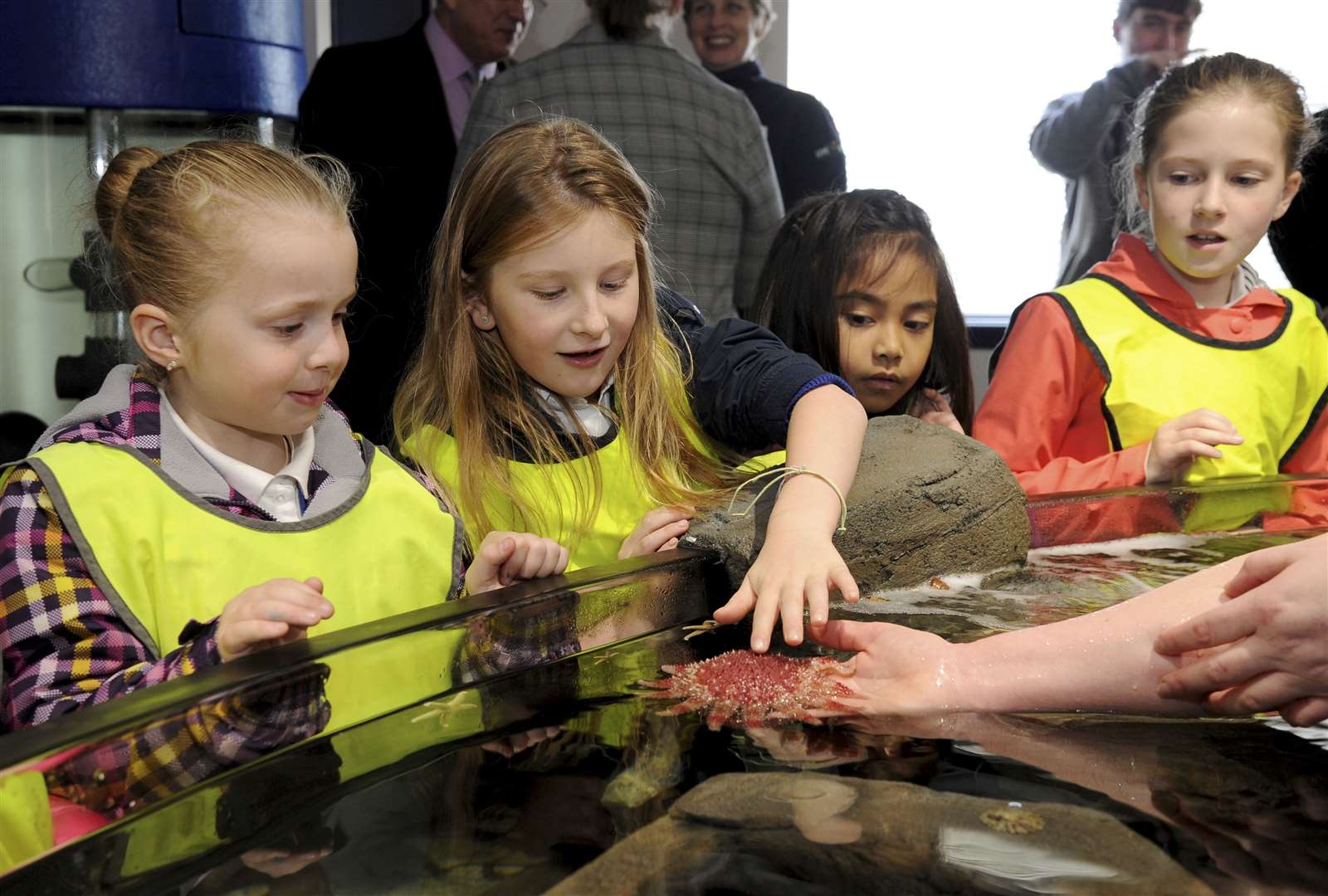 Picture: Eric Cormack. . Opening of new touch pools at Macduff aquarium..