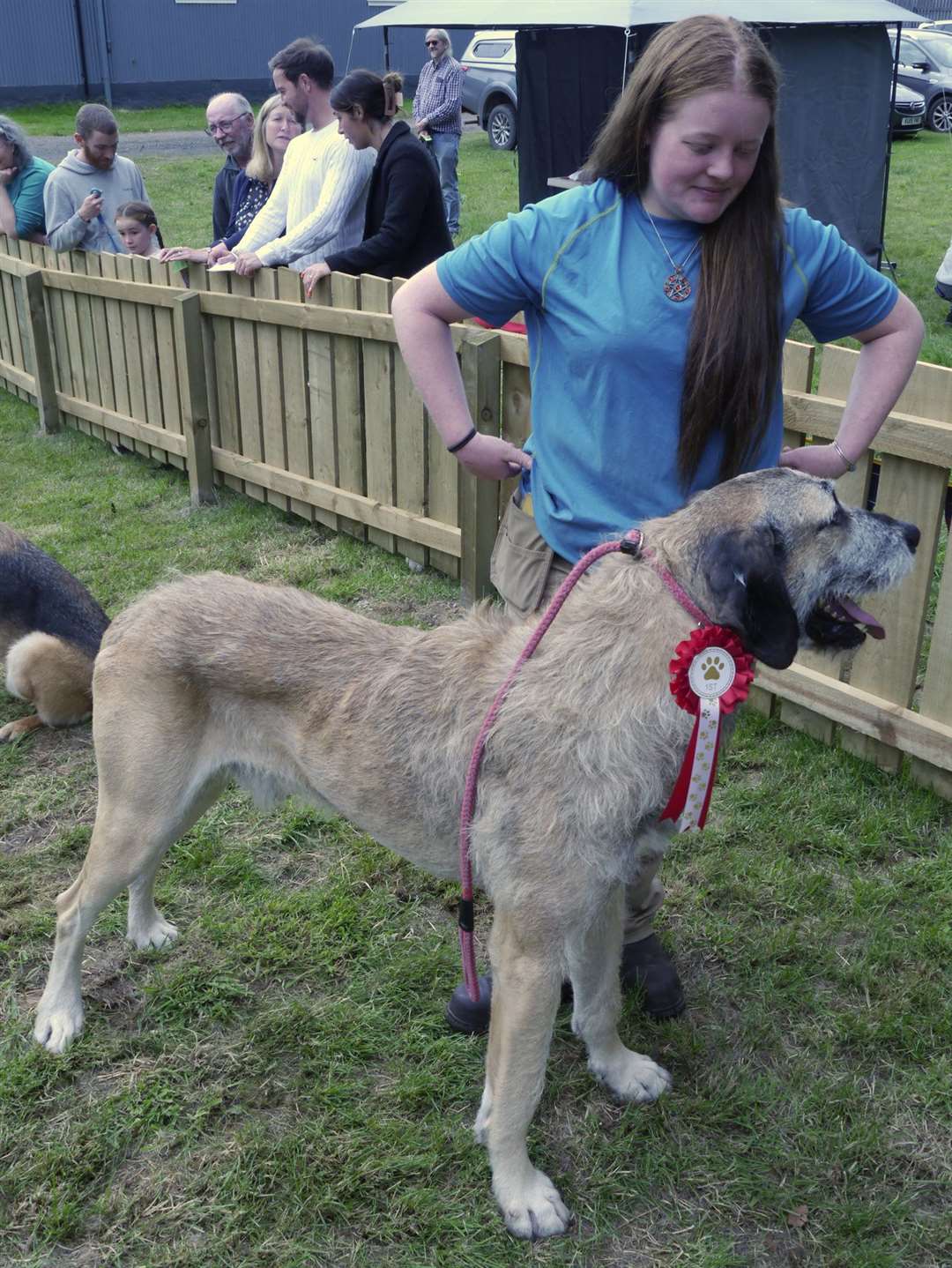 The handsomest dog, on the day, was named as best in show Harold, a Great Dane and Irish Wolfhound cross owned by Holly Pullen.