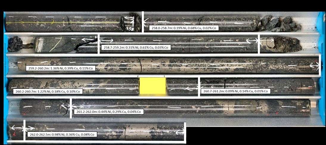 Photograph of drill core from AR007DD noting individual sample grades making up the 4.5m high grade intercept.