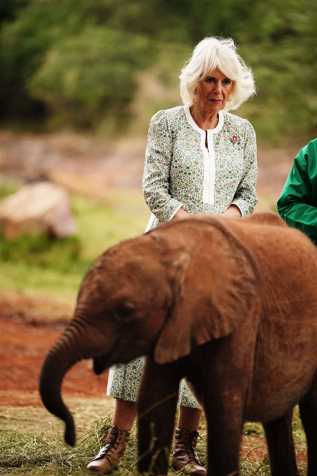 Camilla heard about the trust’s work in the conservation and preservation of wildlife and protected areas across Kenya (Victoria Jones/PA)
