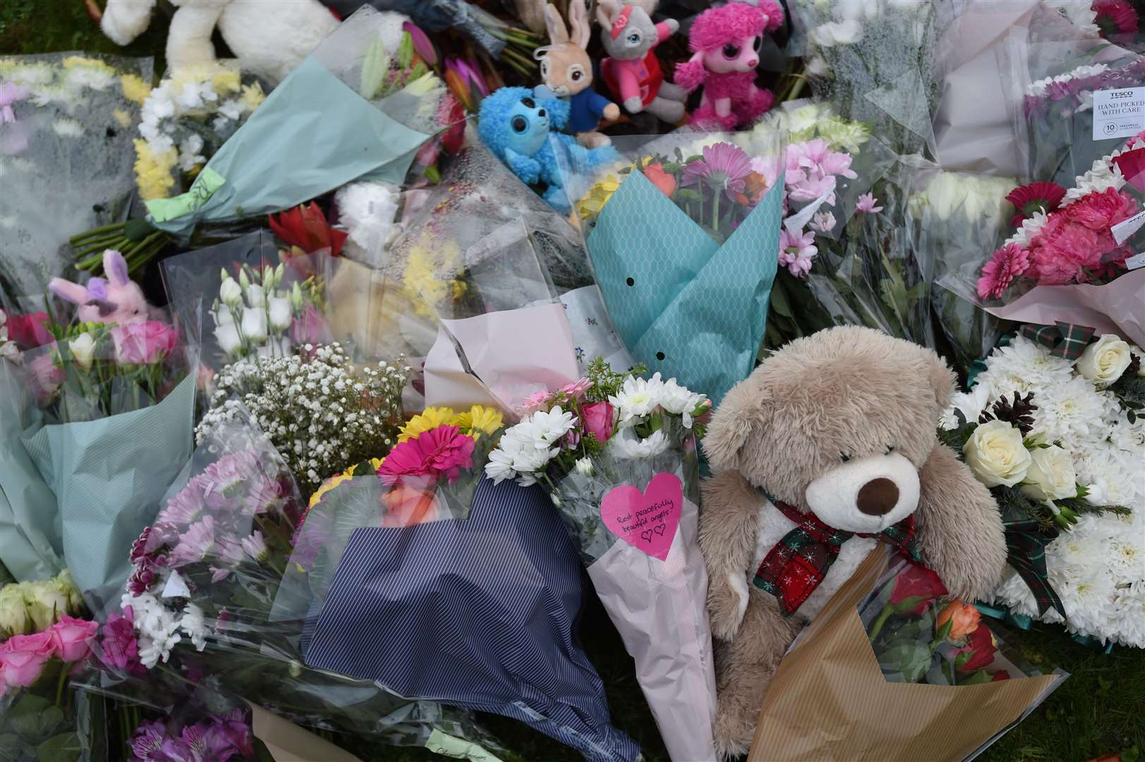 Dozens of floral tributes and soft toys have been left at the scene (Joe Giddens/PA)