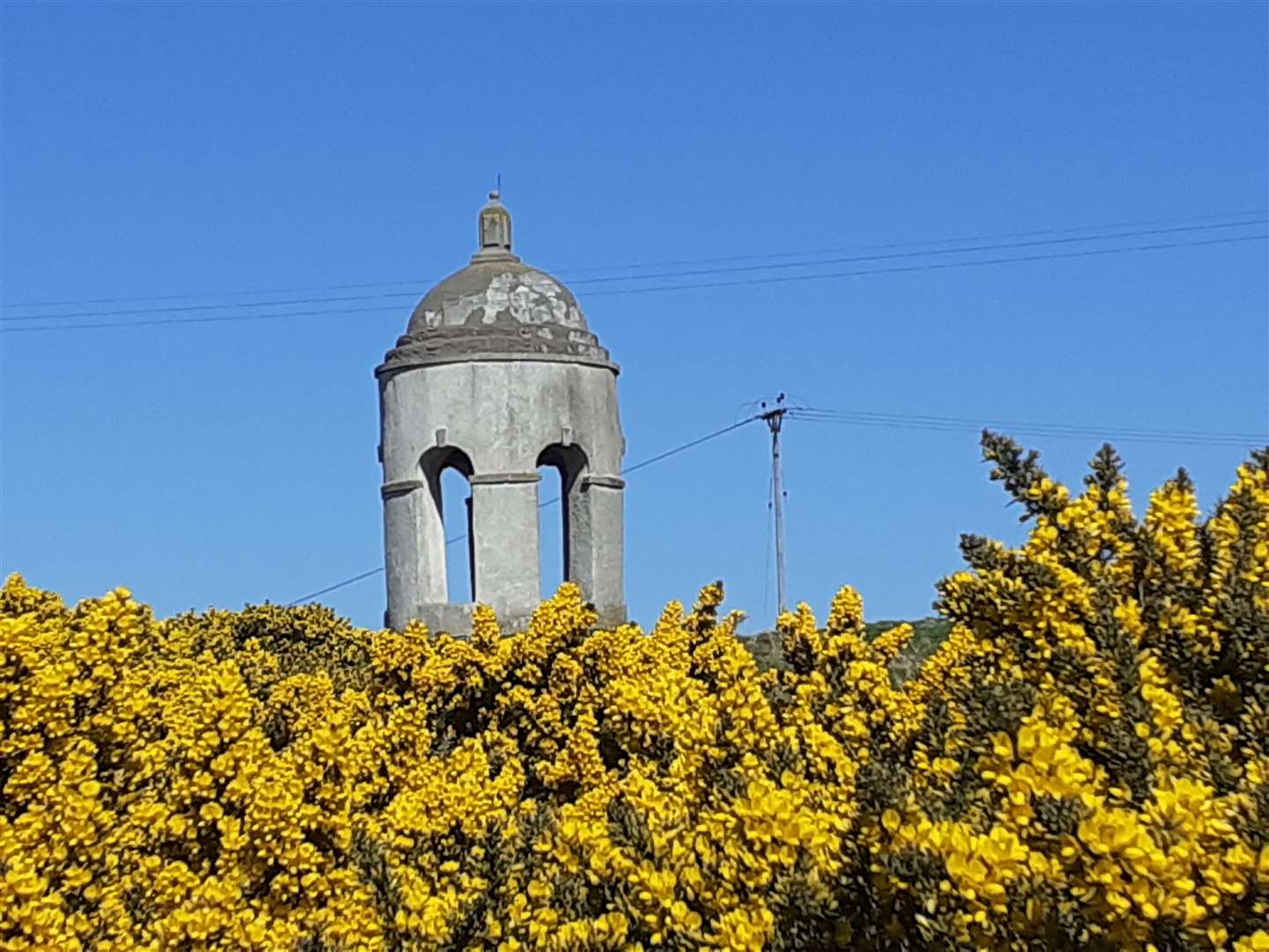 The Temple of Venus surrounded by bright yellow gorse.