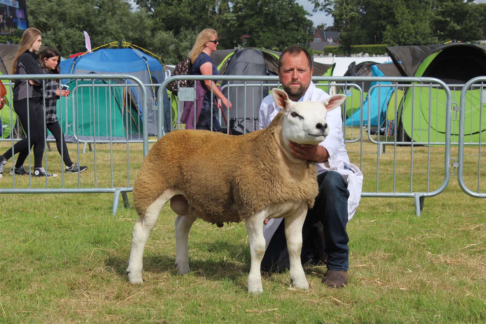 The Texel and overall interbreed sheep champion. Picture: Kyle Ritchie