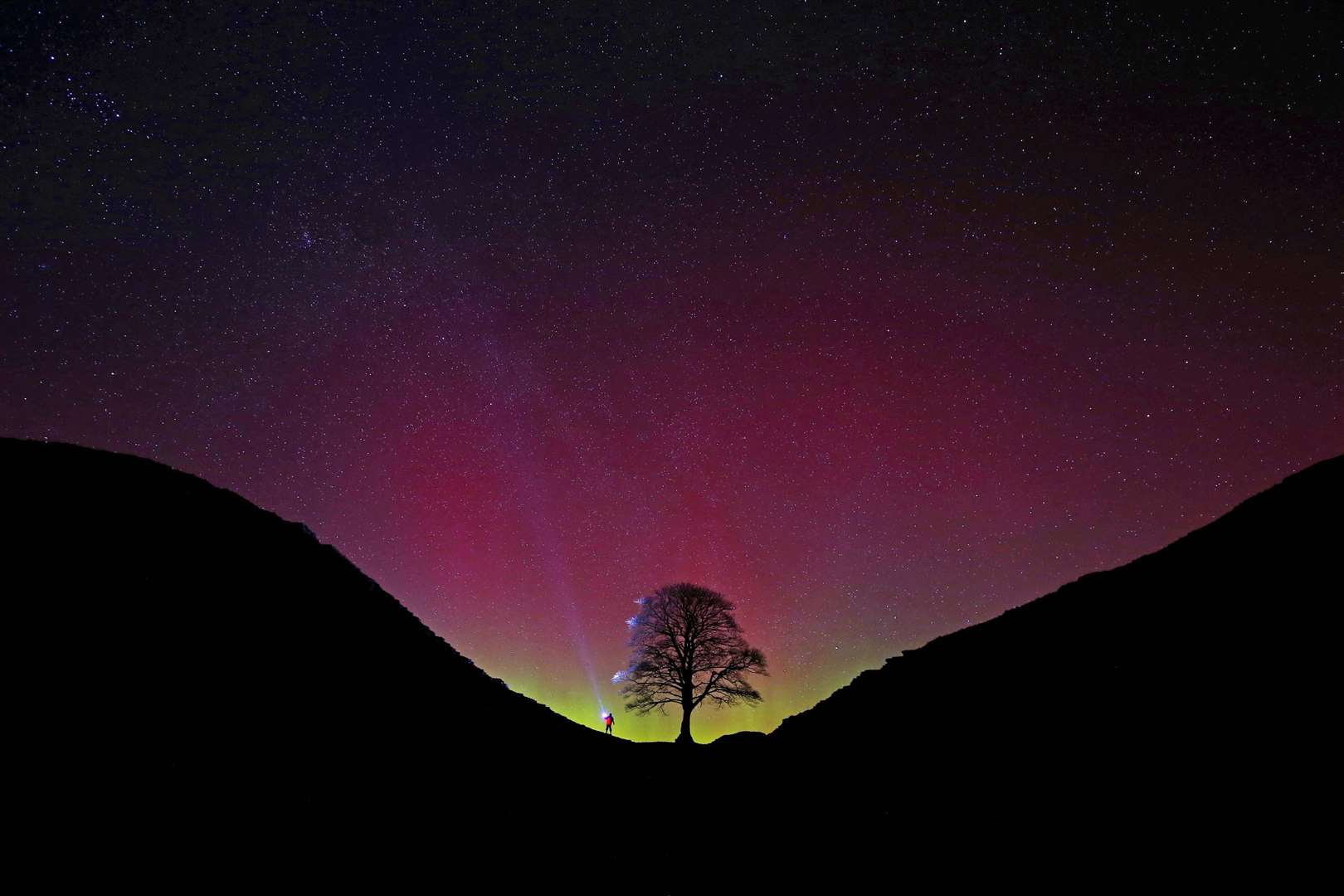 Colours of the Northern Lights behind the Sycamore Gap tree (Owen Humphreys/PA)