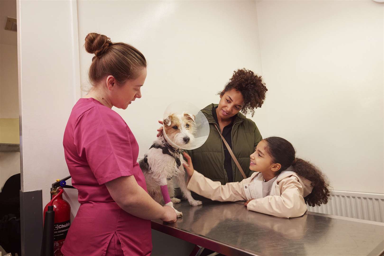 PDSA has treated nearly 400,000 animals in the past year.