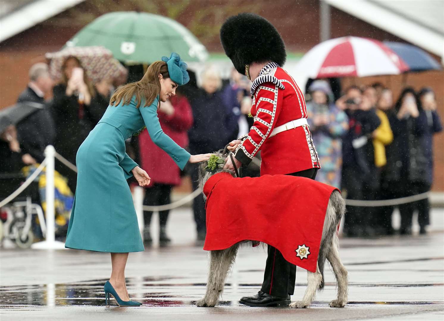 The Princess of Wales places sprigs of shamrock on to the collar of Irish wolfhound mascot Seamus at Mons Barracks (Andrew Matthews/PA)