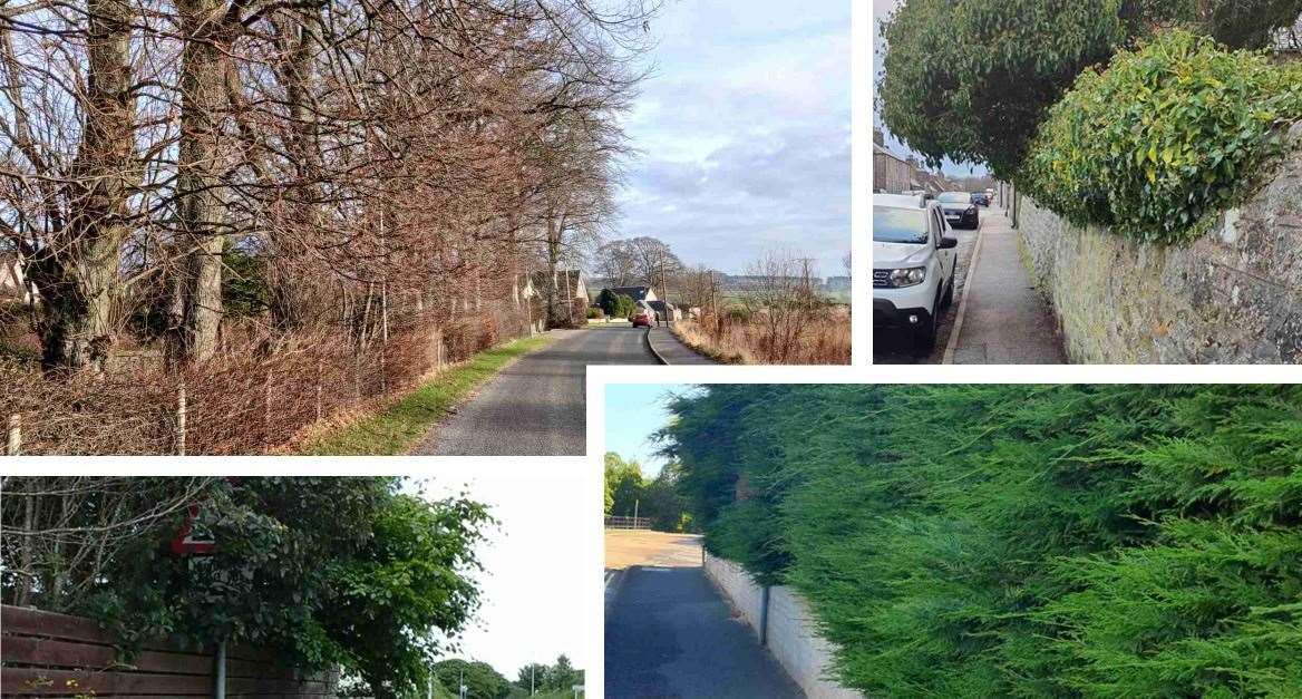 Aberdeenshire Council has encouraged private landowners to ensure that vegetation is cut back before spring growth kicks in.