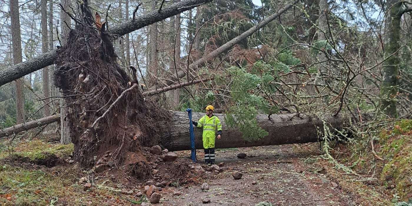 Power lines were brought down across the country including at Fort Augustus.