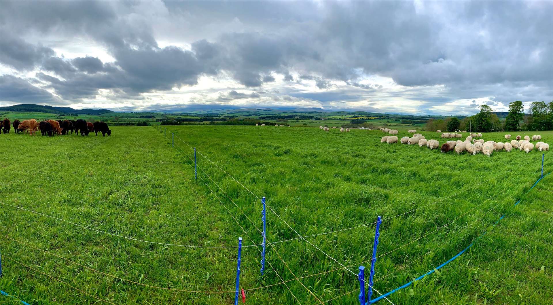 The online event will look at rotational grazing