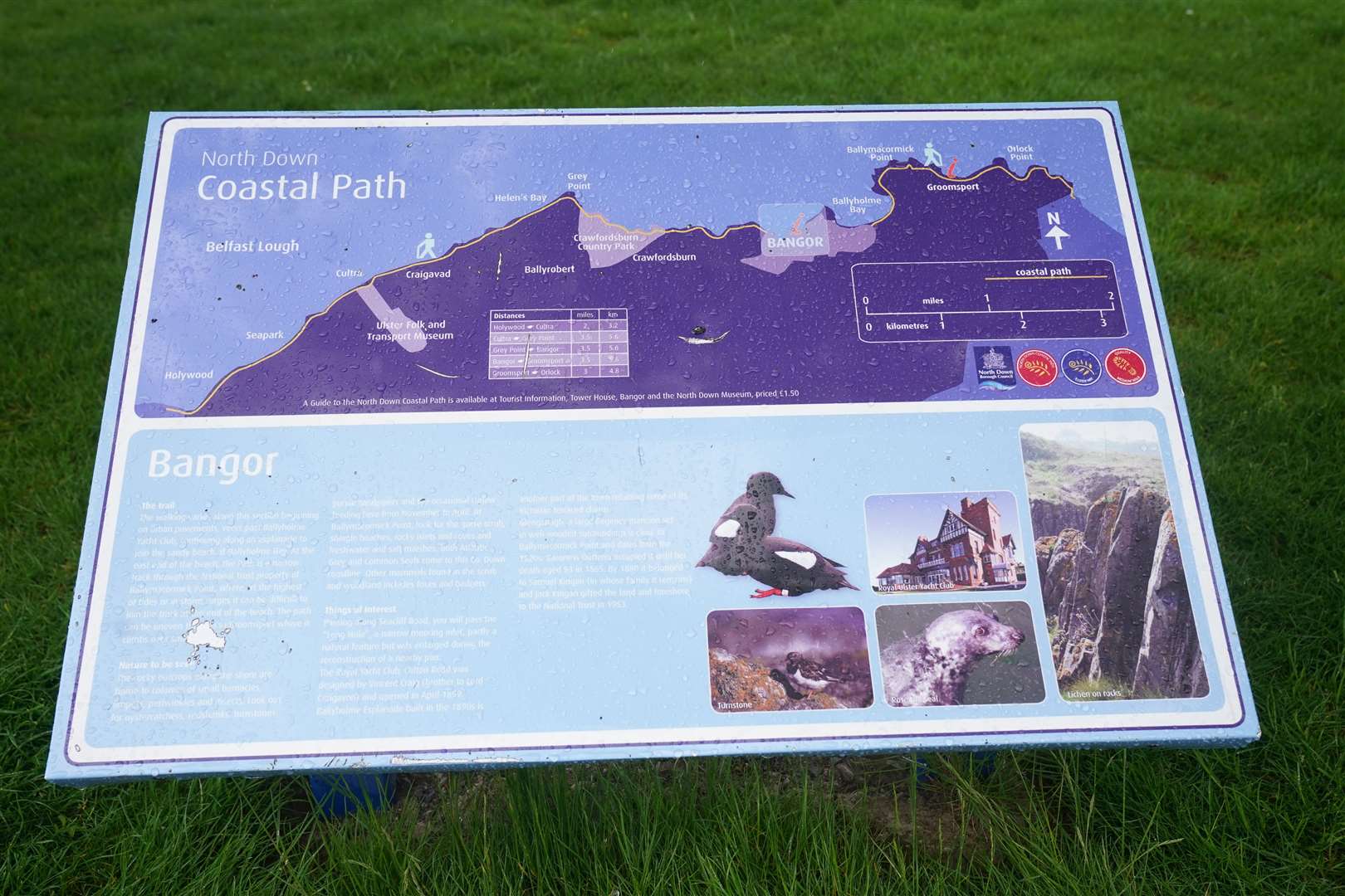 A sign showing a guide to the North Down Coastal Path at Bangor (Brian Lawless/PA)