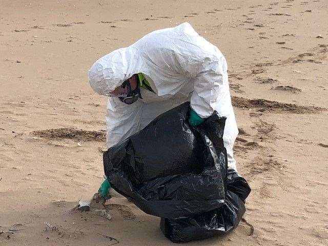 Council staff have been working in full PPE to remove dead birds