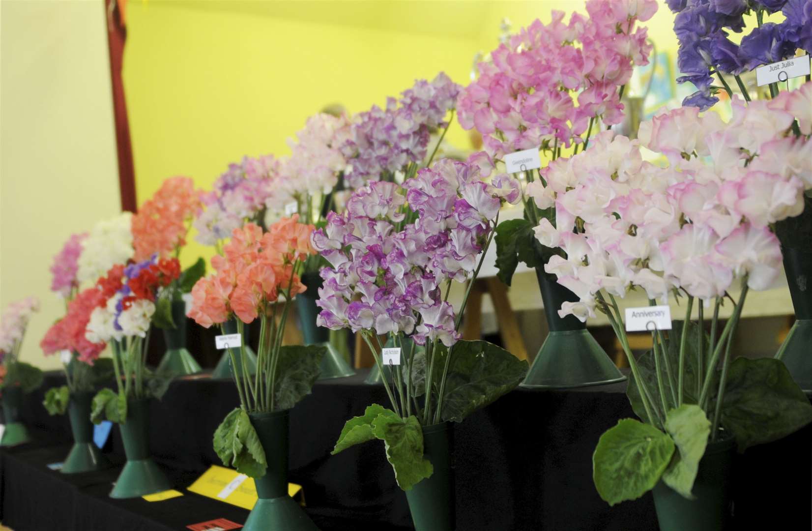 Deskford Flower Show is set to bloom again after a Covid-enforced break.