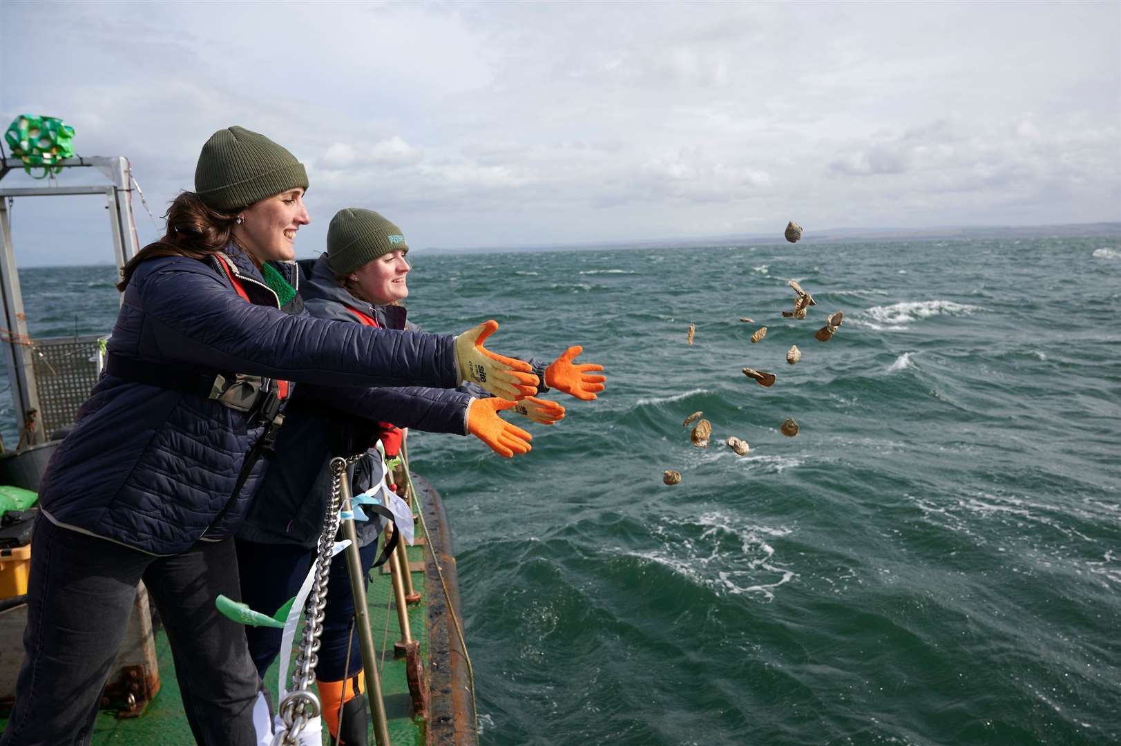 Oysters are deployed into the Firth of Forth (Maverick Photo Agency/PA)