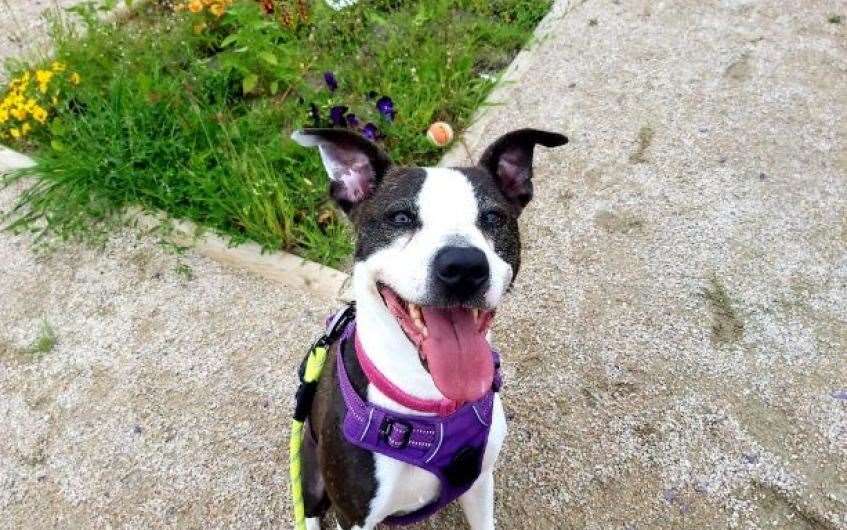 Can you help Kala in her search for a new home?