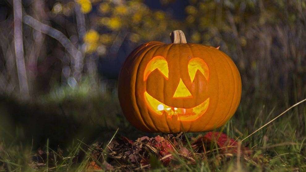 People have been encouraged to use their pumpkin carving leftovers for meals after they have created their Halloween lanterns.