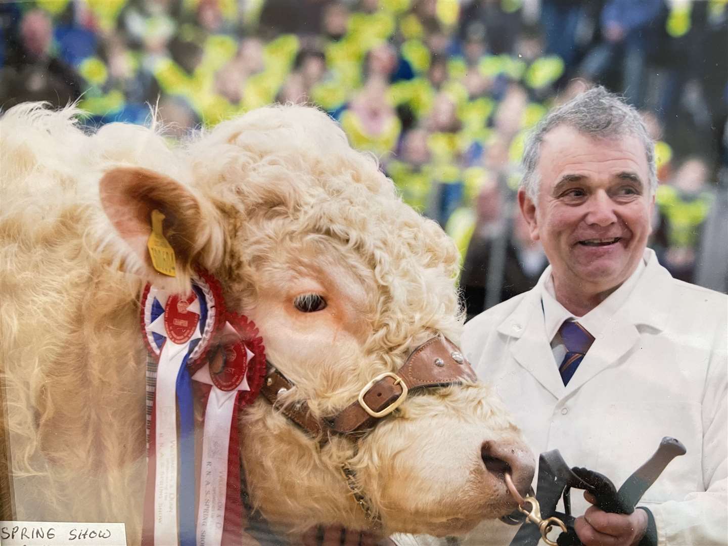 Ian Matthew with the champion Charolais bull which he showed for Jock Wilson, Kinclune, Glenkindie, at the Royal Northern Spring Show in 2014.