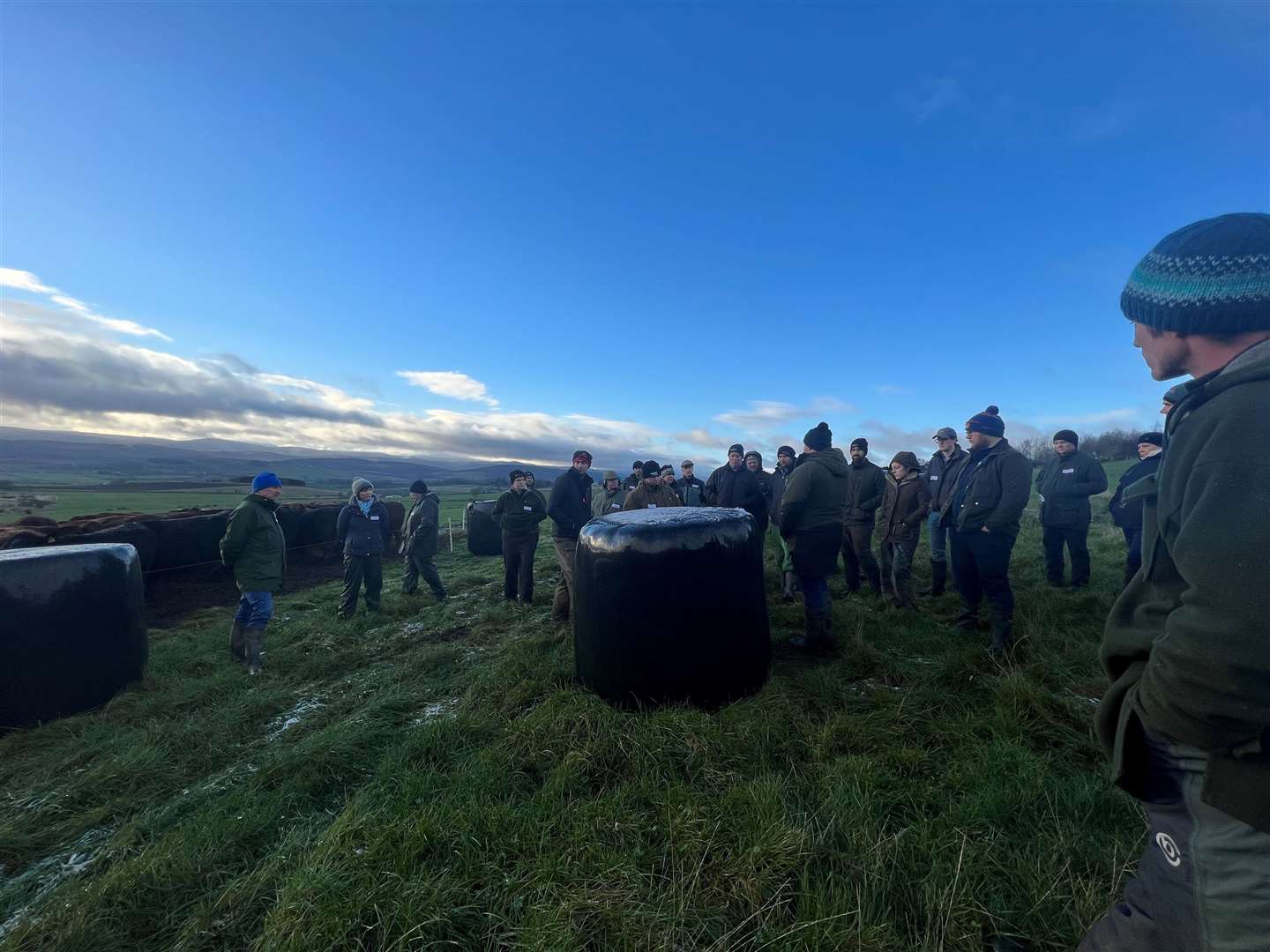 Duncan Morrison discusses his outwintering bale grazing at Meikle Maldron