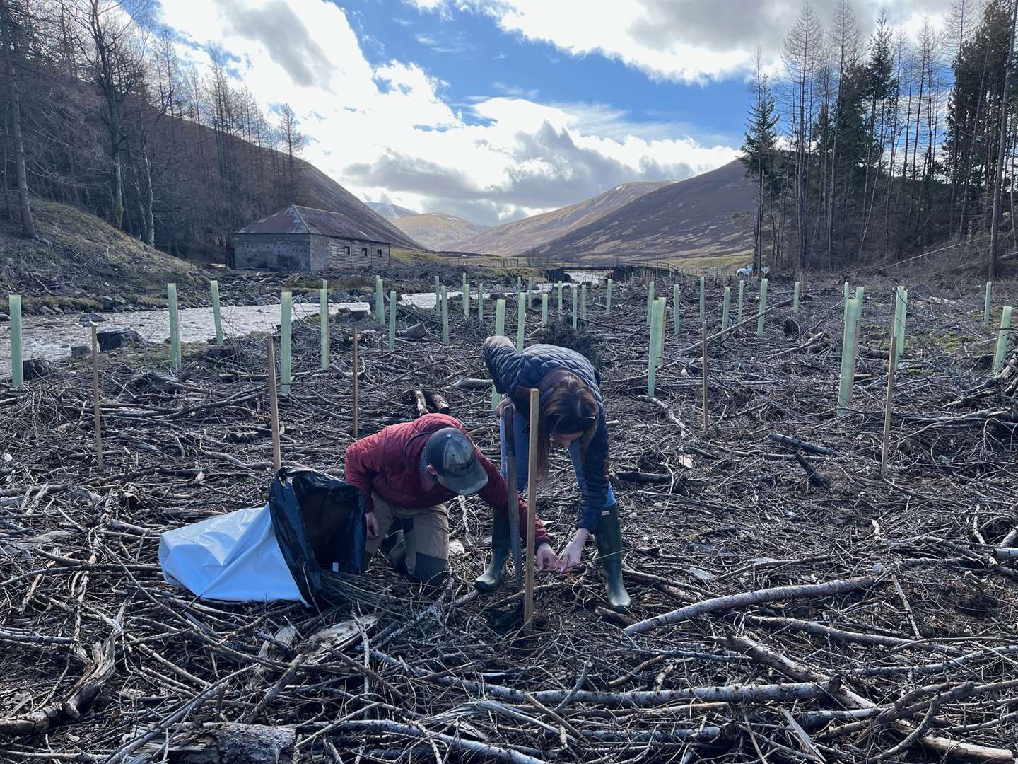 Apache Corporation has announced the opening of applications for its Tree Grant Programme’s 2024-2025 planting season in the UK.
