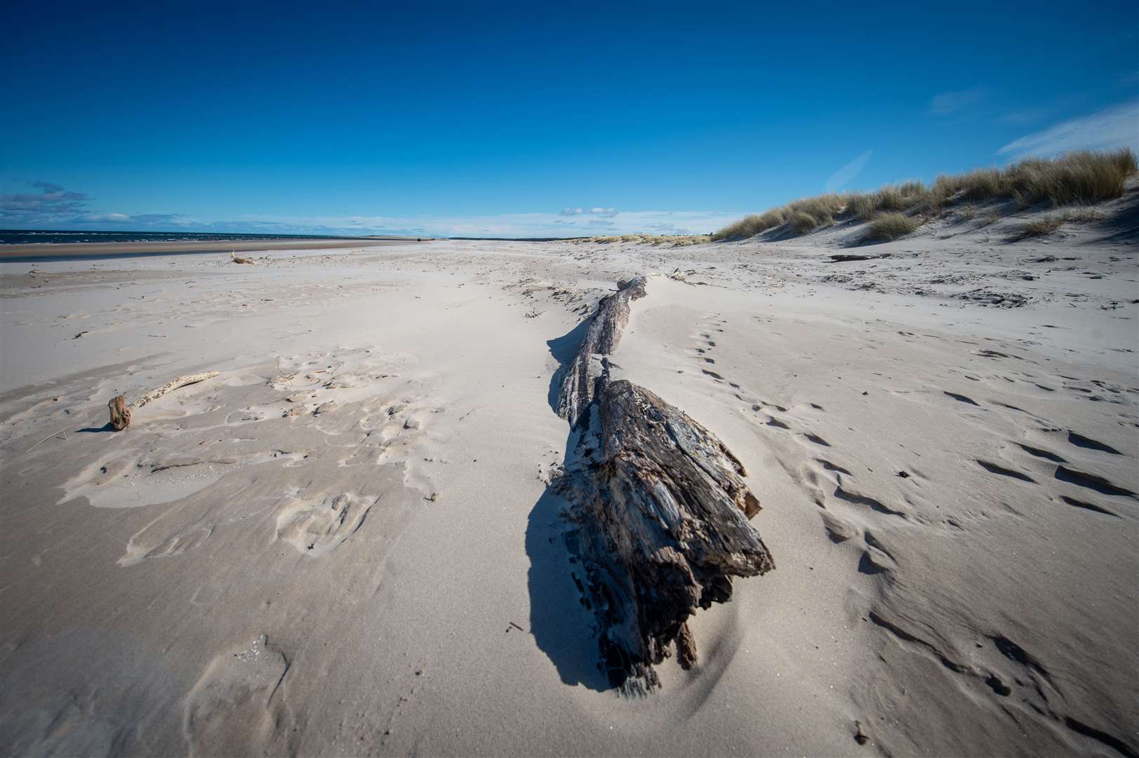 The dunes at Nairn Beach. Picture: Callum Mackay.