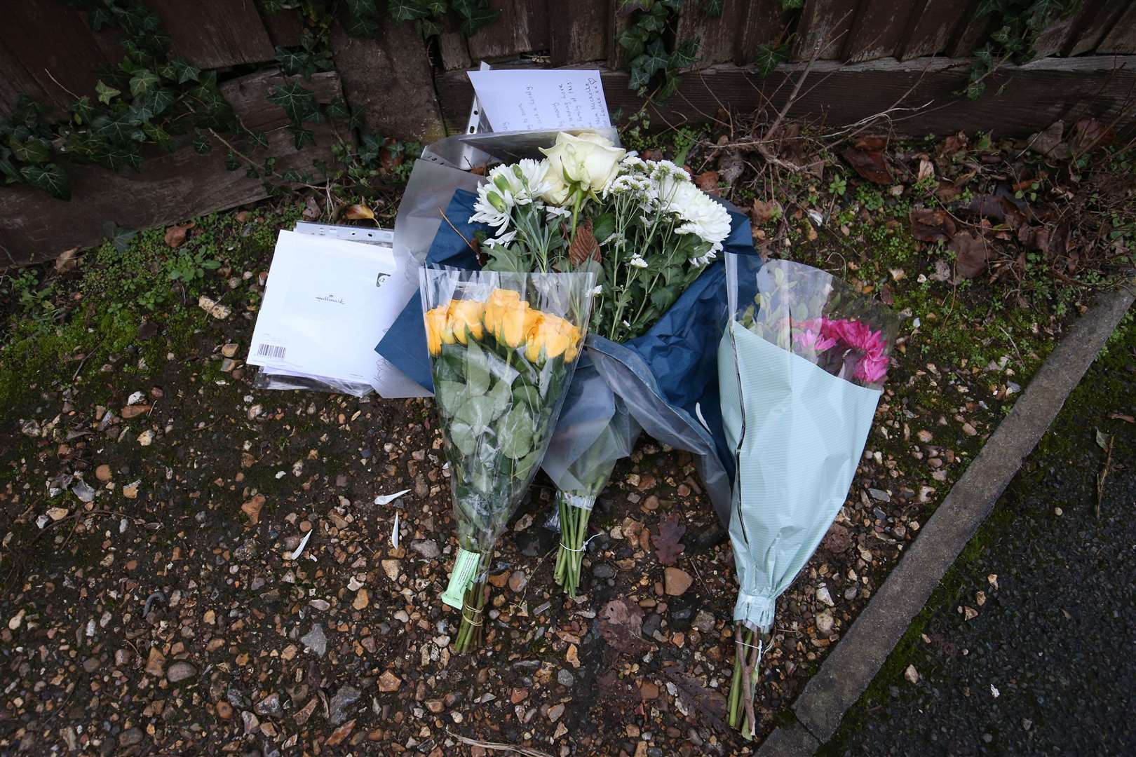 Olly was stabbed to death on January 3 (Jonathan Brady/PA)