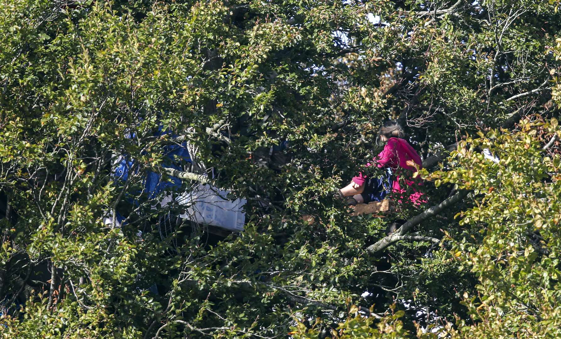 Protesters have vowed to stay in the trees for as long as possible (Steve Parsons/PA)
