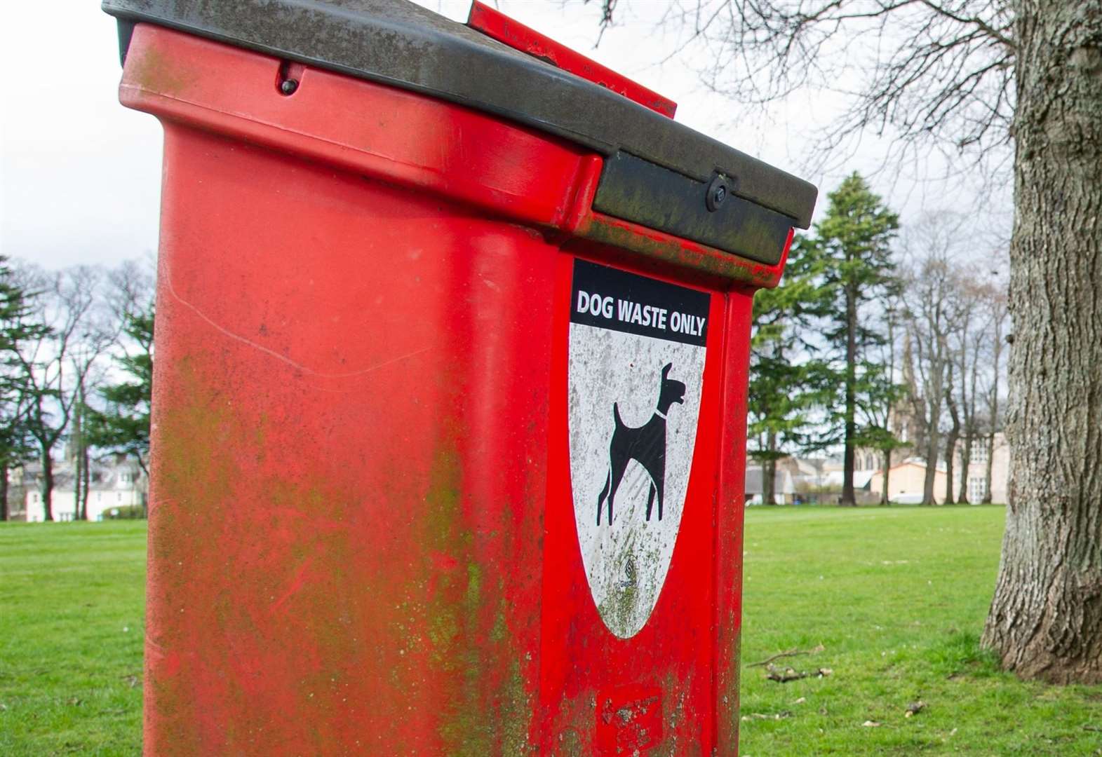 report-dog-fouling-incidents-portknockie-residents-urged