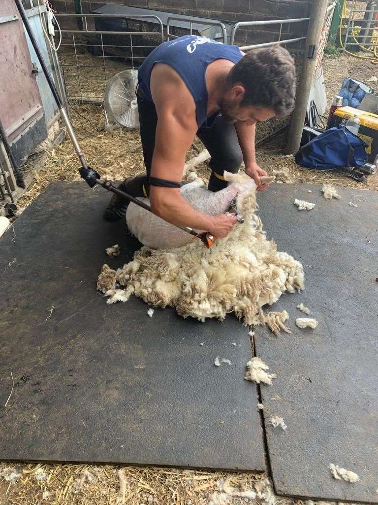 The shearing course teaches vital skills