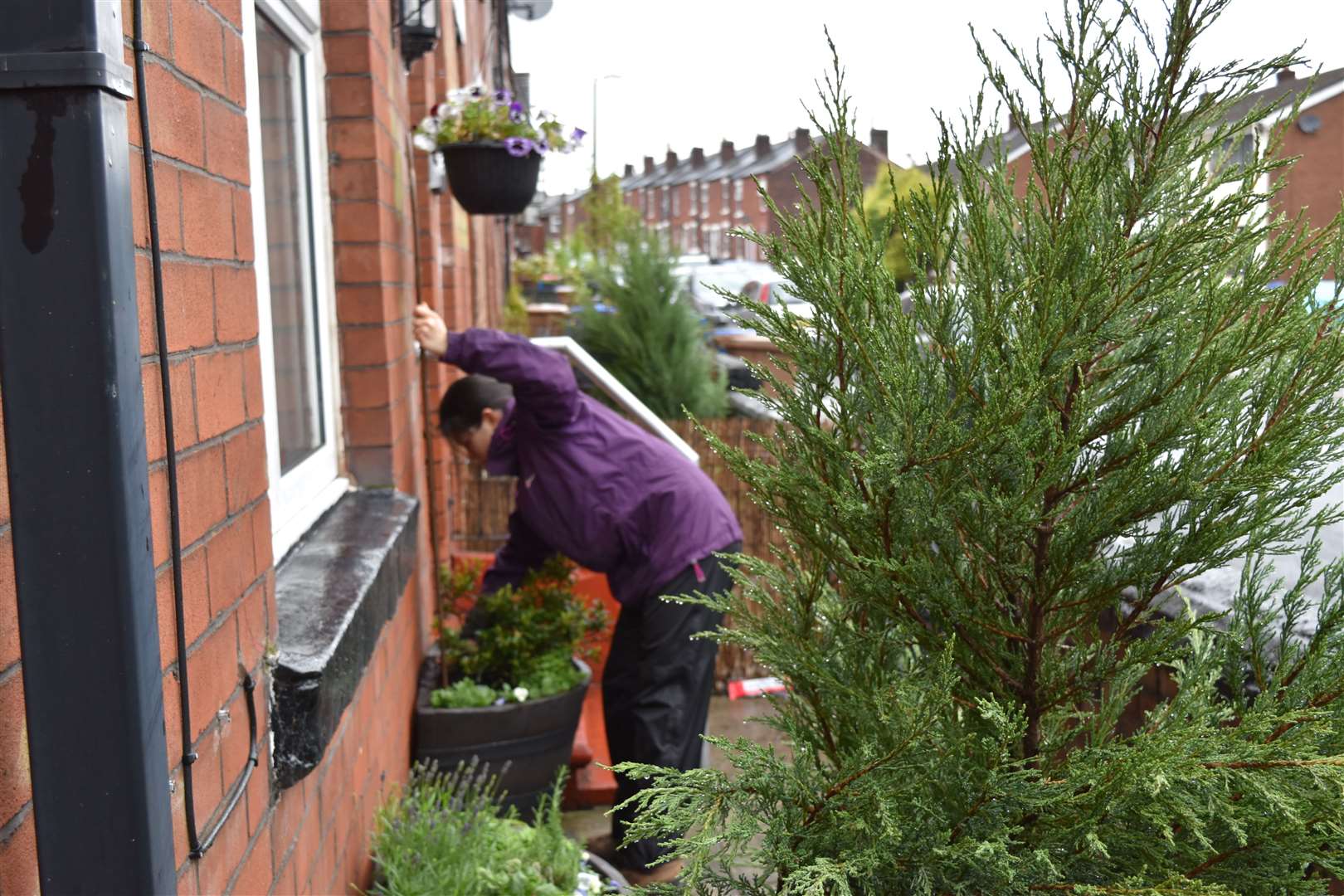 Researchers planted up the gardens for residents (Anna Da Silva/RHS images/PA)