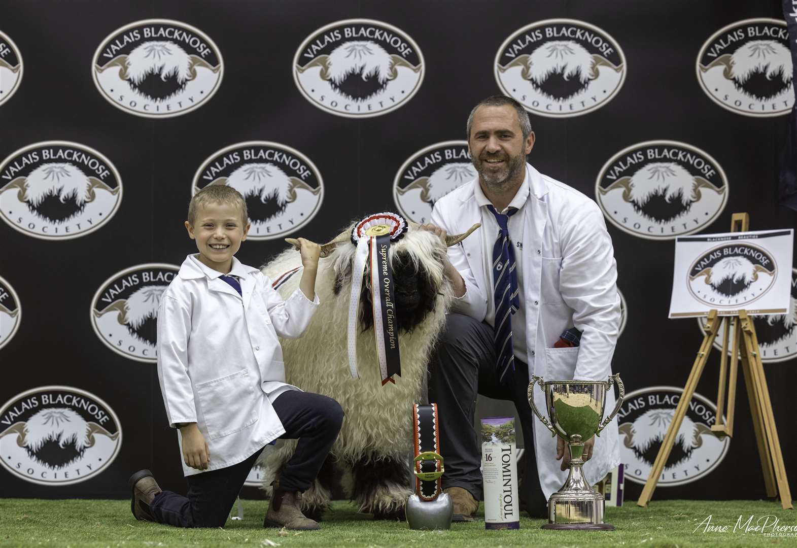 Excitement builds for 2023 Blacknose Beauties National Show and Sale