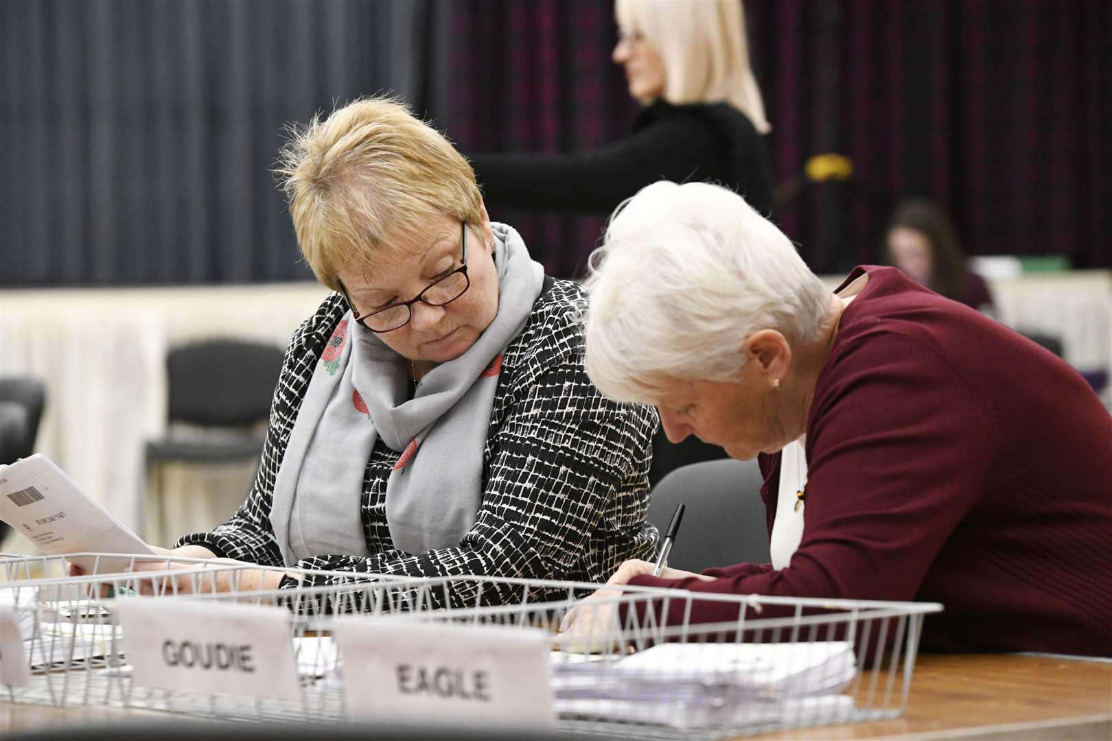 Count staff verify the ballot papers. Picture: Beth Taylor