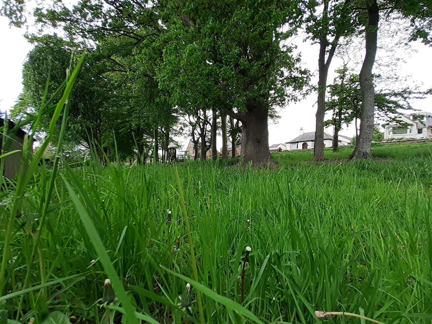 Aberdeenshire Council is set to tackle green spaces.