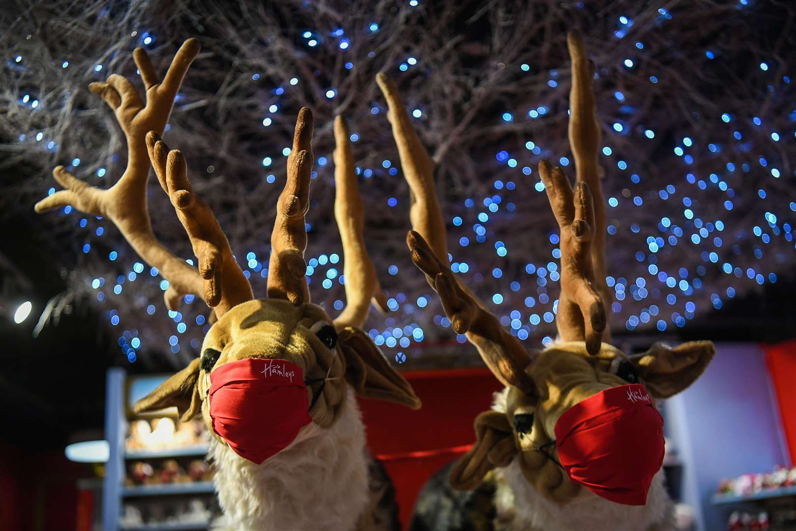 Toy reindeers wearing masks at Hamleys (Kirsty O’Connor/PA)