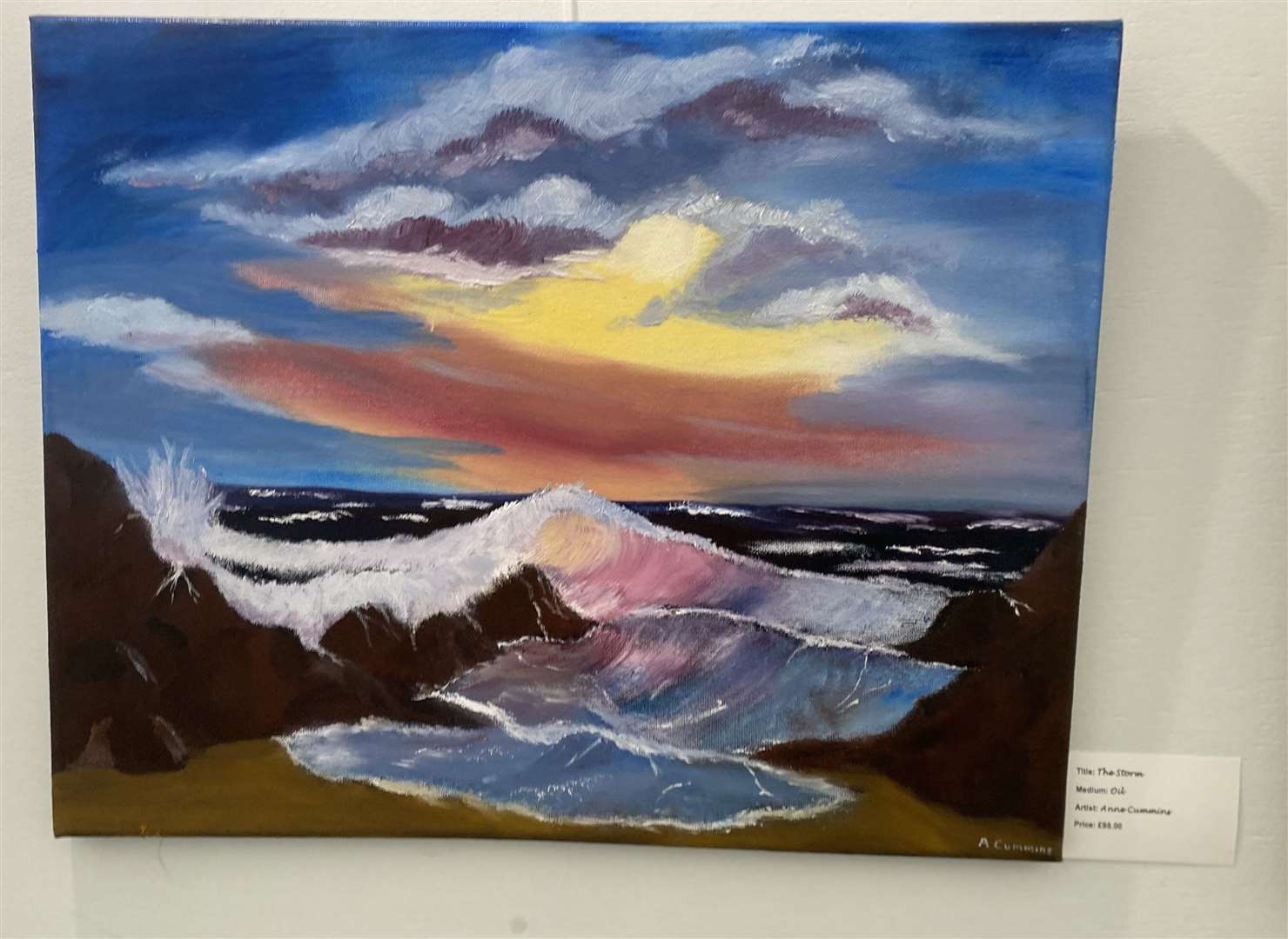 Bold colours are a feature of The Storm by Anne Cummin.