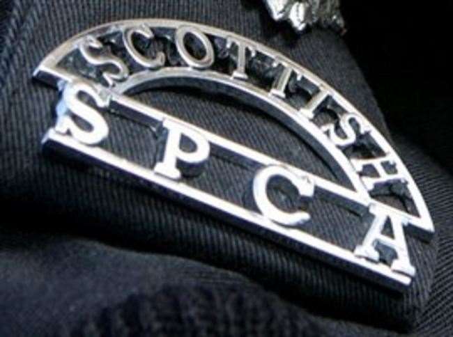 The Scottish SPCA investigated the man, leading to a give year ban on owning dogs.