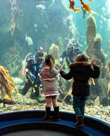 The aquarium divers are a popular feature.
