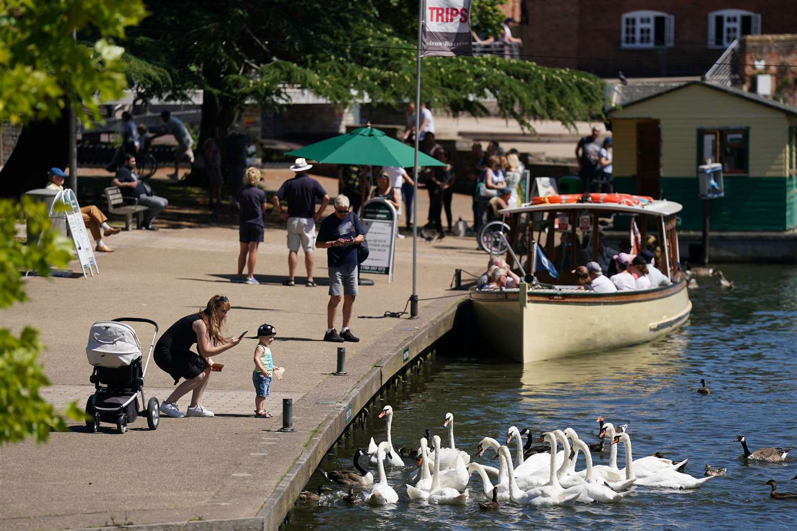 Swans proved a popular draw for those enjoying the weather (Jacob King/PA)