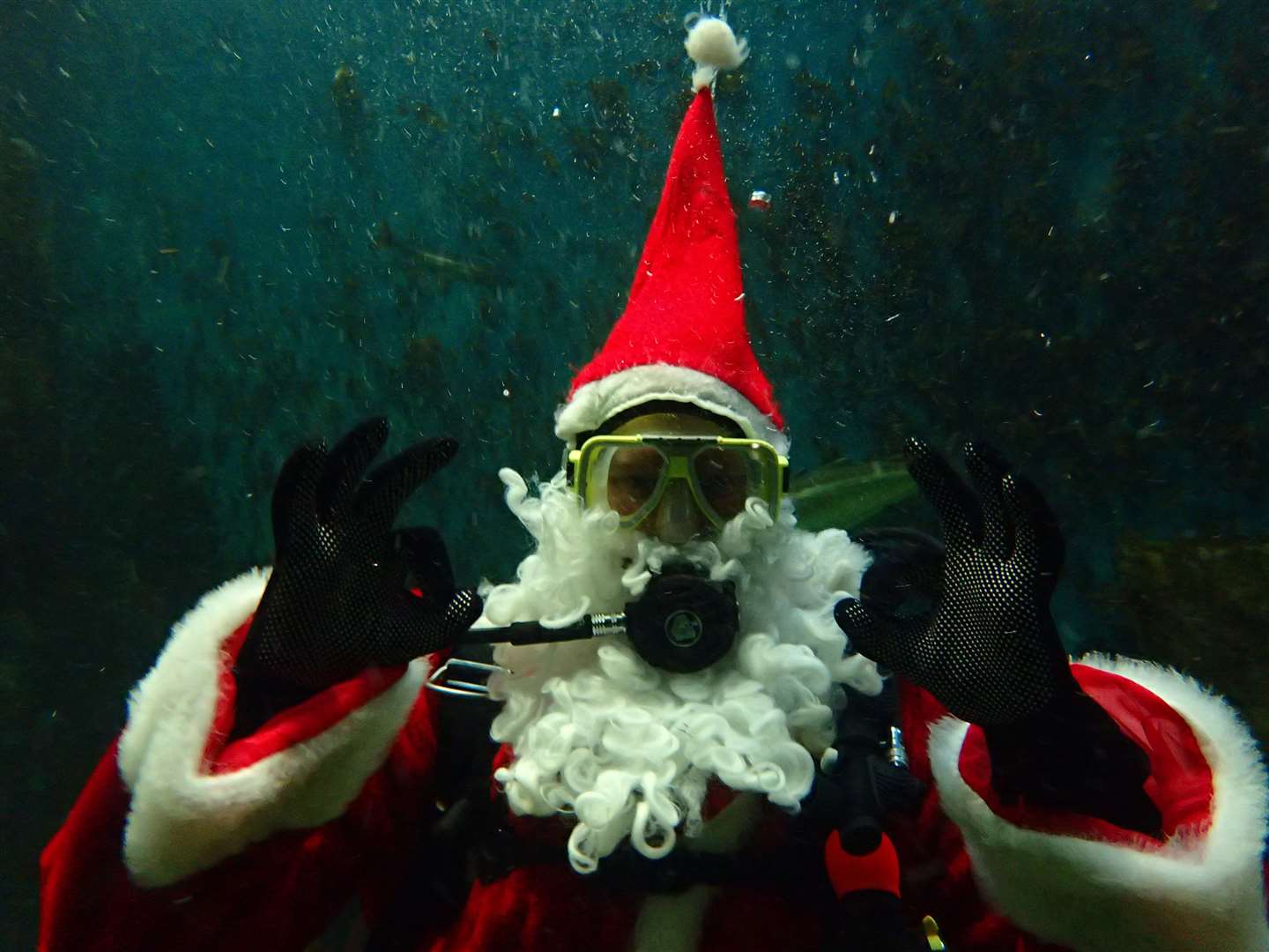 Scuba Santa is going swimming with the fish.