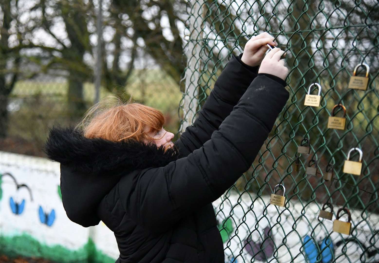 Evie, a pupil from Crossroads Primary School, locking her padlock onto the fence. ..Picture: Beth Taylor.
