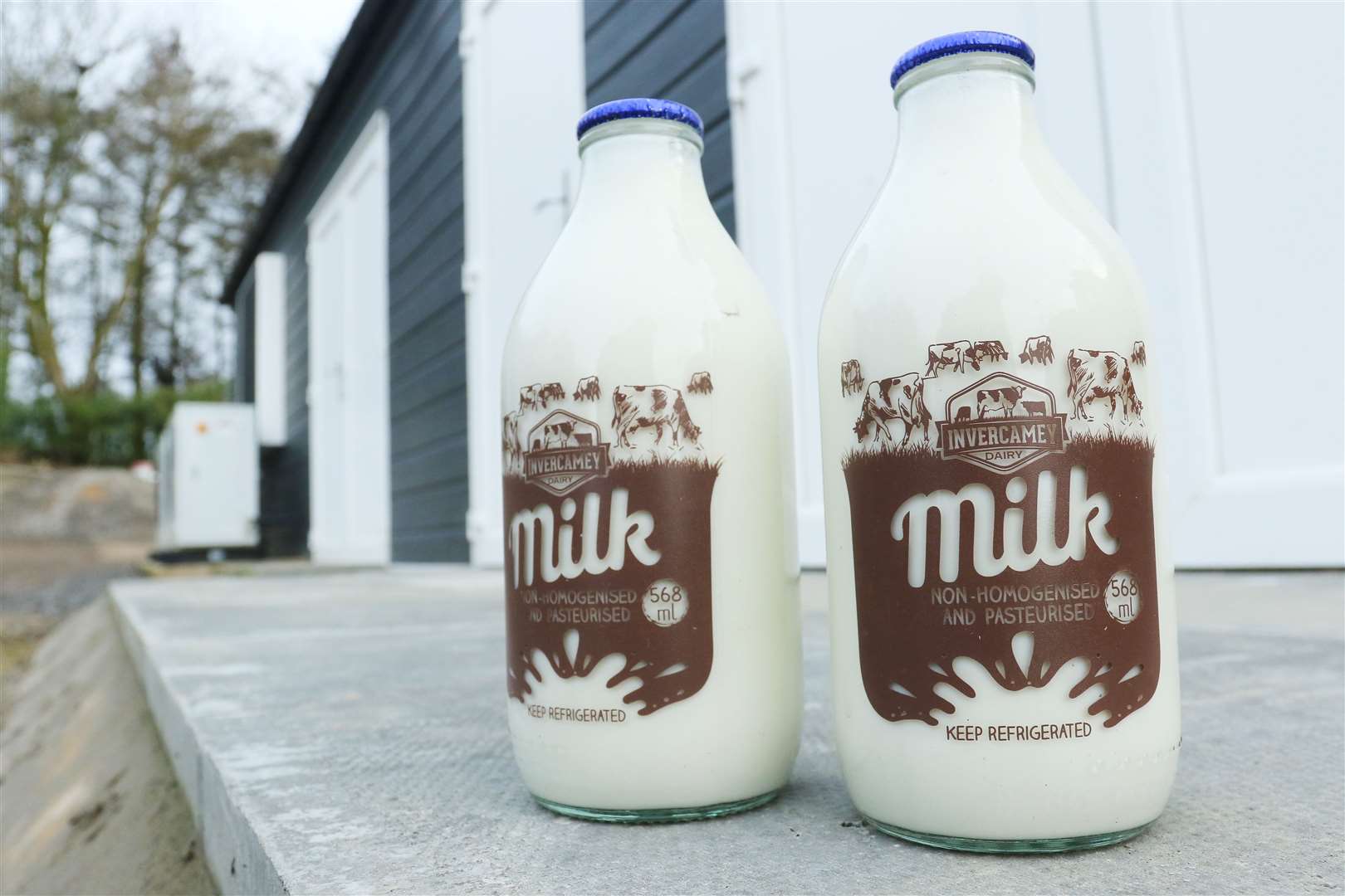 Dairy set to bring fresh milk back to north-east doorsteps